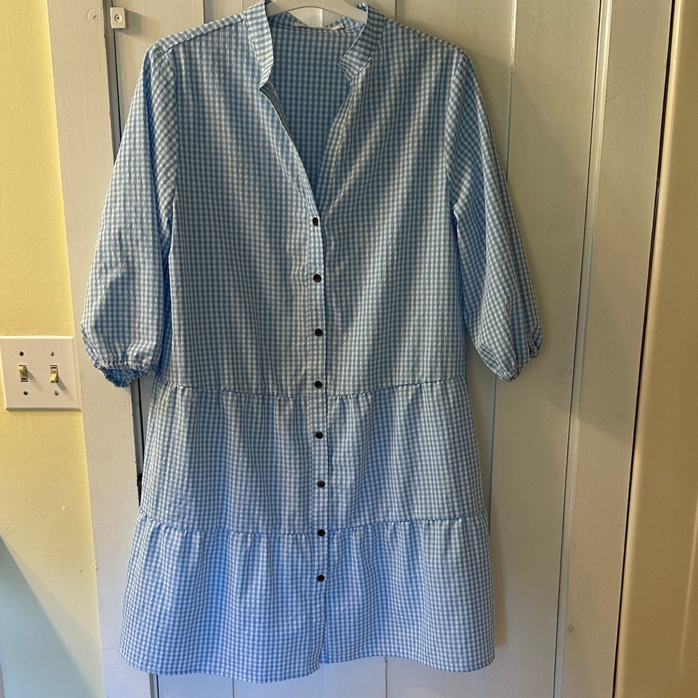 Blue Gingham Button-Down Dress